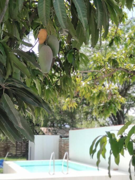 Casa Mango amplia con alberca y cerca de la Media Luna !!! Río Verde Exterior foto