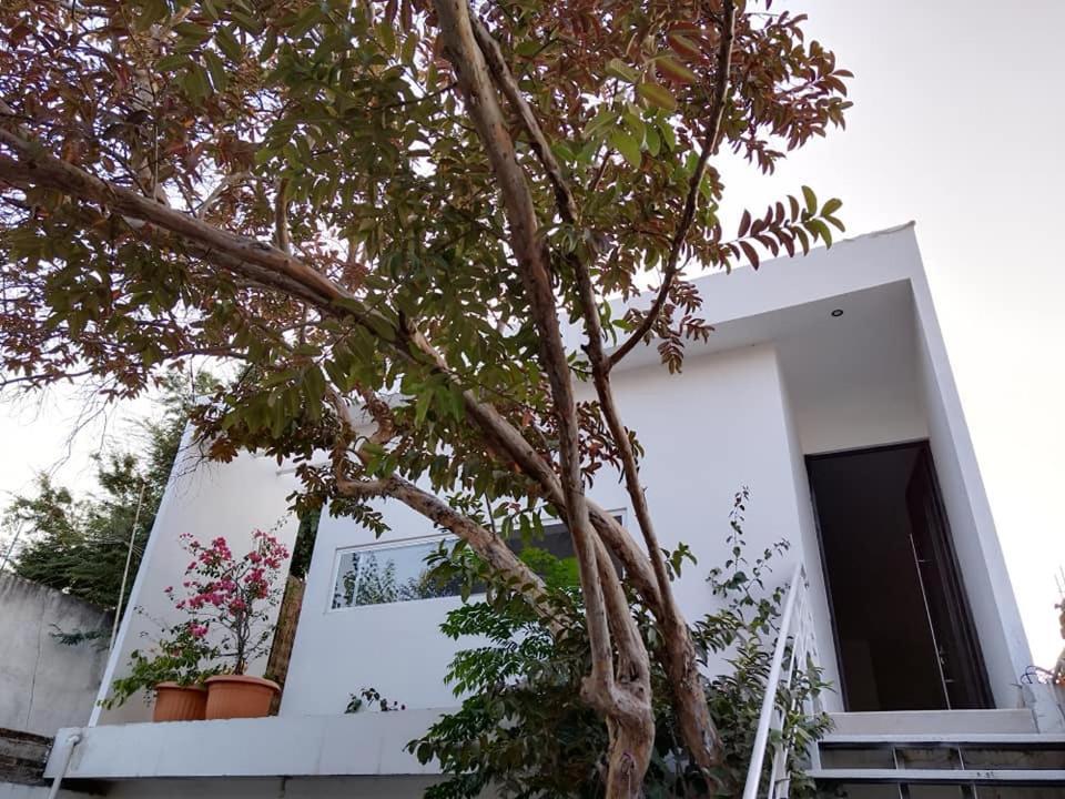 Casa Mango amplia con alberca y cerca de la Media Luna !!! Río Verde Exterior foto